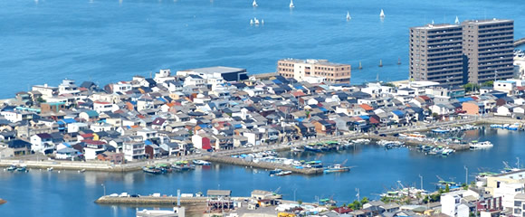 海沿いに立地している