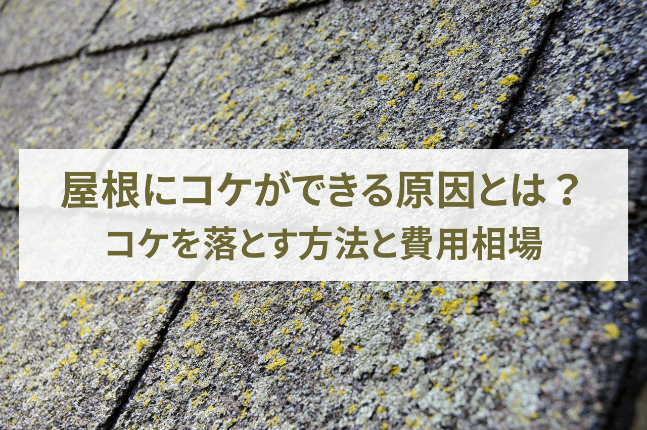 屋根にコケが生える原因とは？コケを落とす方法と費用相場も解説 | 株式会社SIGNAL 香川県 高松市 外壁塗装 屋根塗装 防水工事 ひび割れ